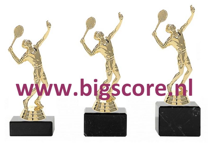 Tennis Heer Goud 314-G